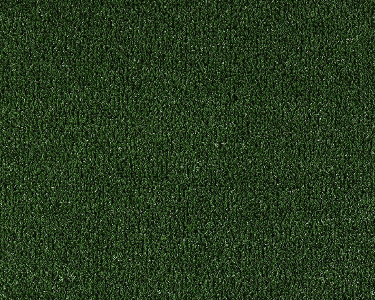 Бытовая трава 6 мм 1x10 м