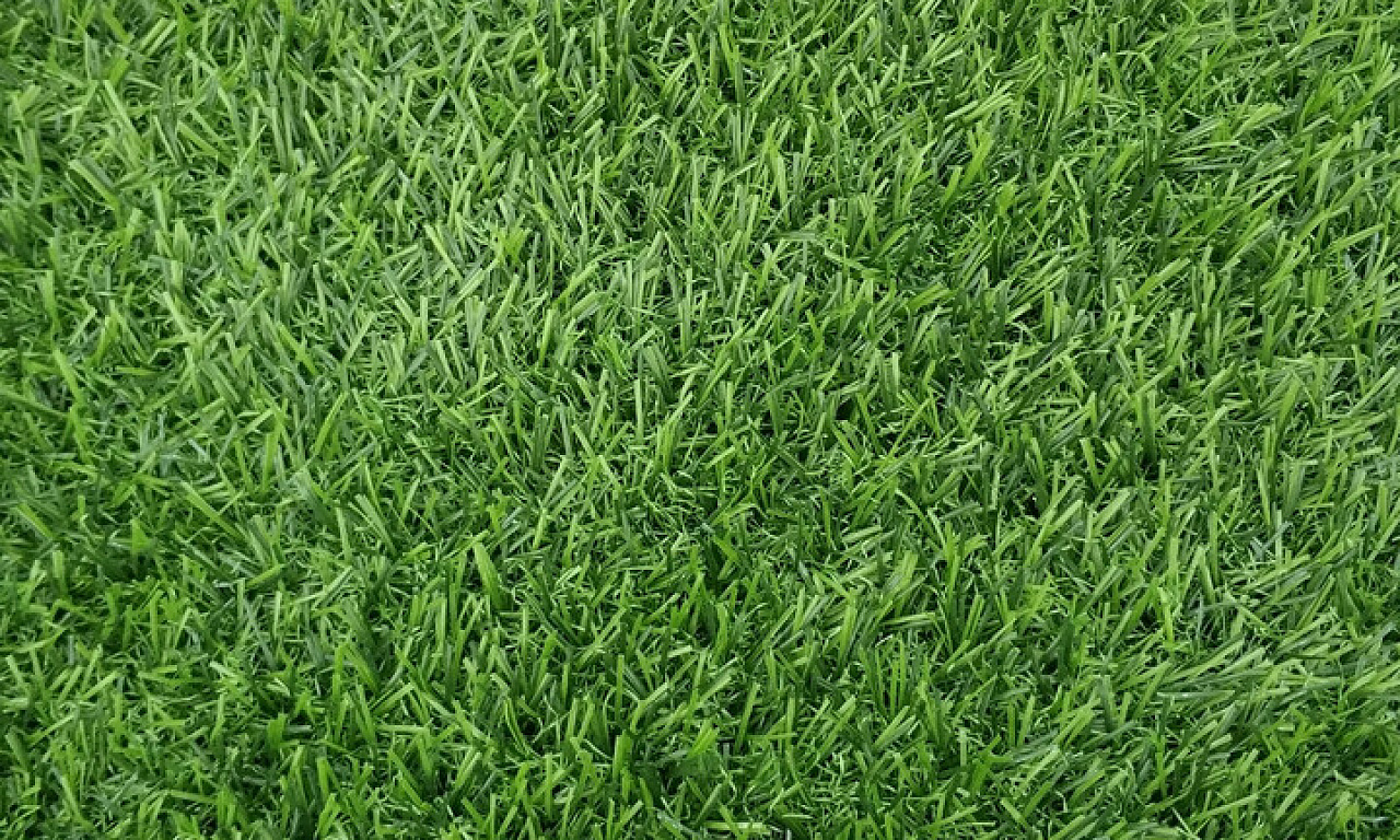 Трава 25 мм 4х25 м (2 цвета)